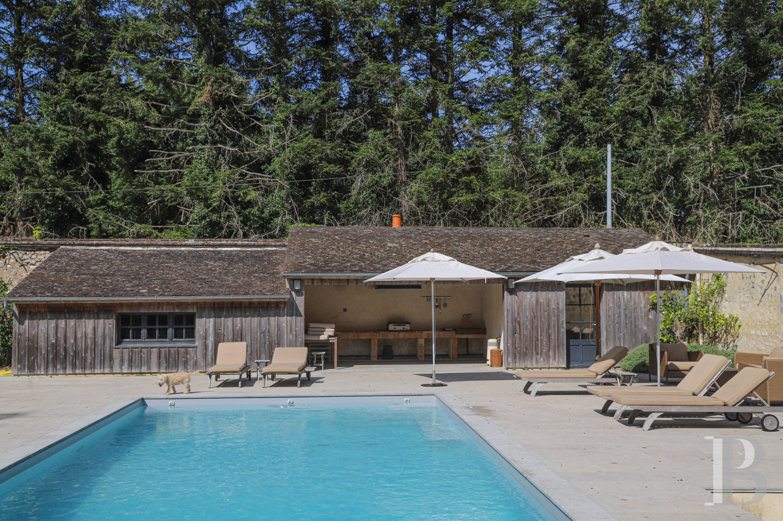 Dans le Perche, au nord-est de Bellême, une maison des 18e et 19e siècle au milieu de grands arbres  - photo  n°7